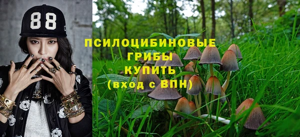 мдма Корсаков