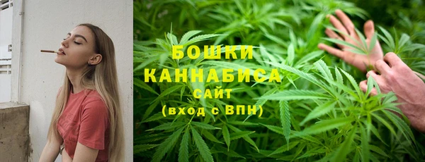 дурь Коряжма