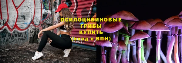 дурь Коряжма