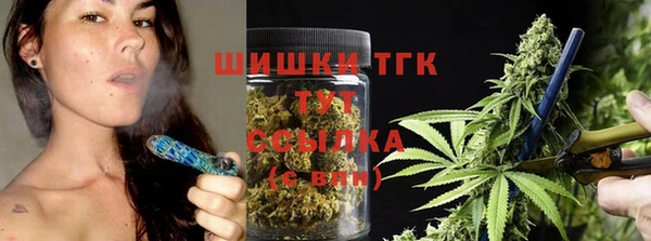 крисы Березники