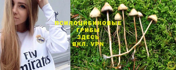 дурь Коряжма