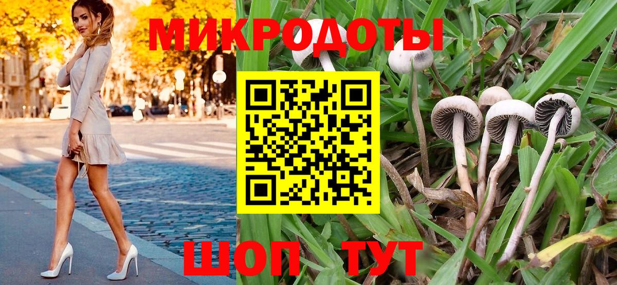 Галлюциногенные грибы GOLDEN TEACHER  Шебекино 