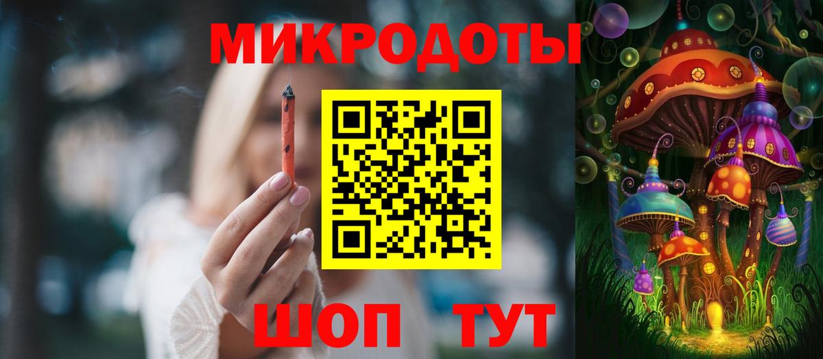 Псилоцибиновые грибы Psilocybine cubensis Шебекино