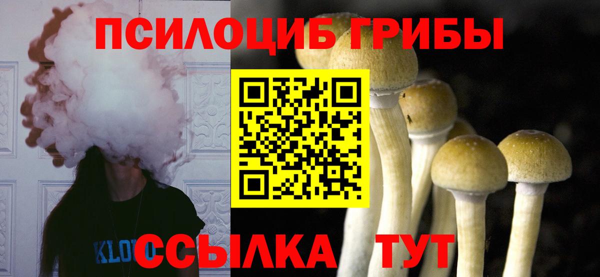 Галлюциногенные грибы Cubensis  Вход с VPN  купить закладку  Шебекино 