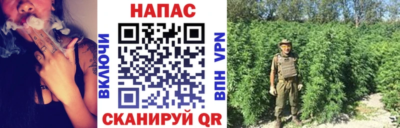 Бошки Шишки конопля Шебекино